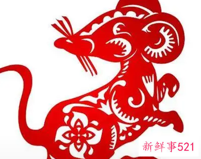 属鼠的婚配属相有哪些