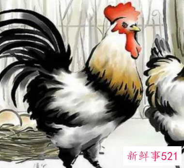 属鸡的和属鸡的在一起