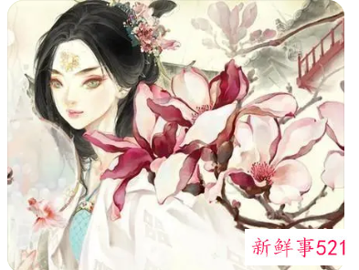 古风网名女生清冷孤傲