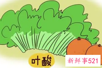 叶酸片什么时候吃好备孕