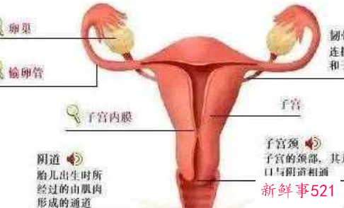 女性健康科普知识讲座