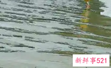 梦见大水把女儿冲走了是什么意思