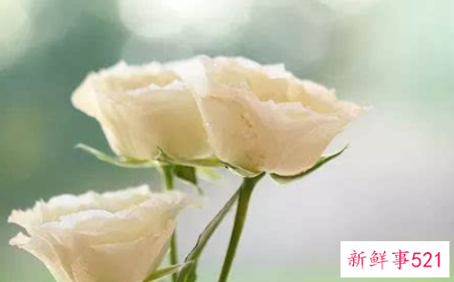 梦到去世的人没有去世