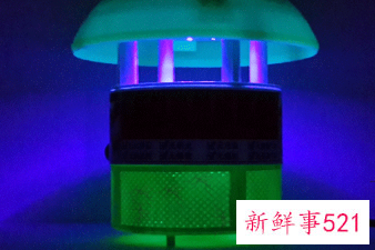灭蚊灯的紫光波对人身体有影响吗