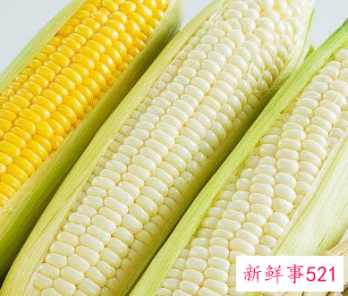 九阳豆浆机做玉米汁的方法