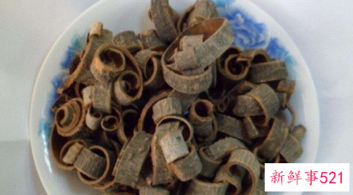 川朴的功效与作用吃法大全