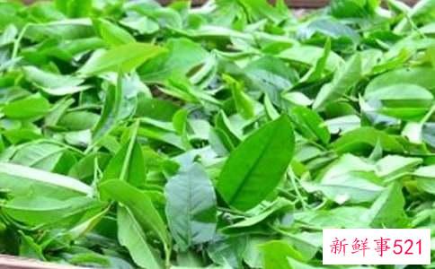 什么茶叶能减肥刮油