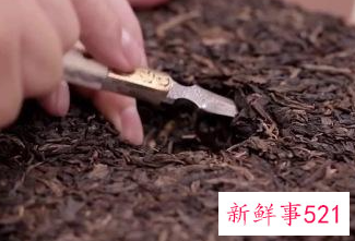 普洱茶饼如何正确撬茶