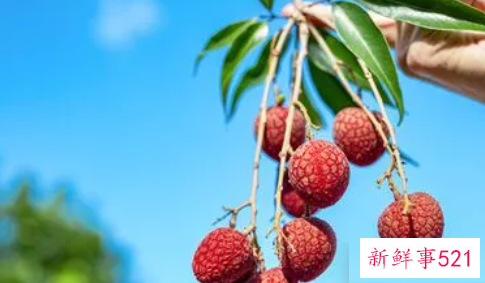 梦见荔枝是什么征兆