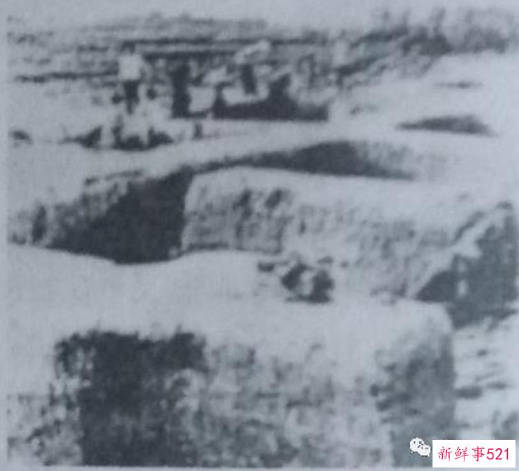 丹阳凤凰山遗址公园在哪里，丹阳凤凰山遗址公园有多少亩