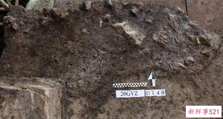 2020年度全国十大考古新发现，2018年度十大考古发现