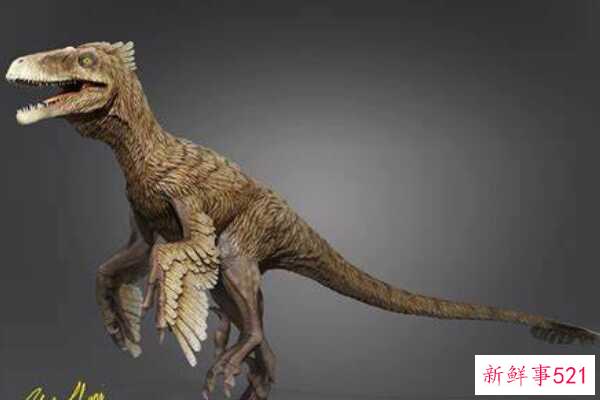 印度蜥脚类动物-一种巨大的足底动物(4米长-有一个巨大的眶上角)