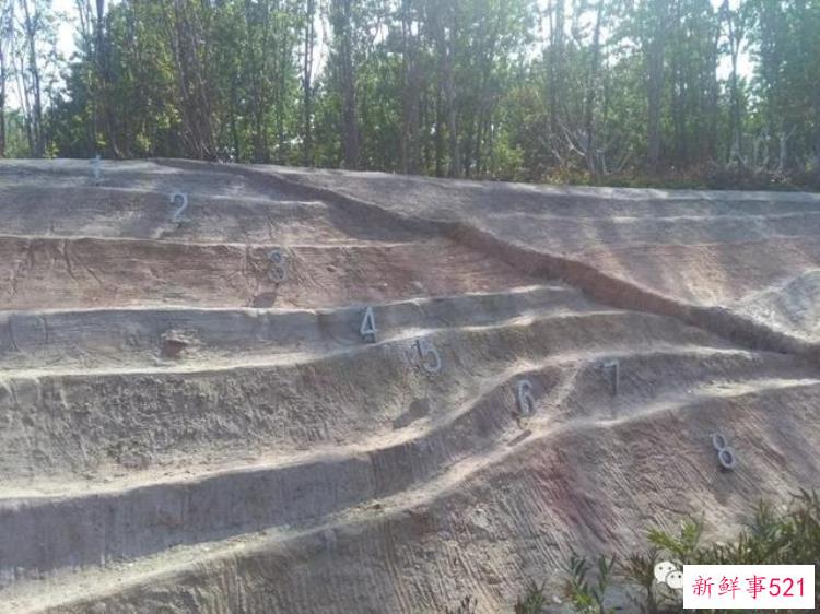 丹阳凤凰山遗址公园在哪里，丹阳凤凰山遗址公园有多少亩