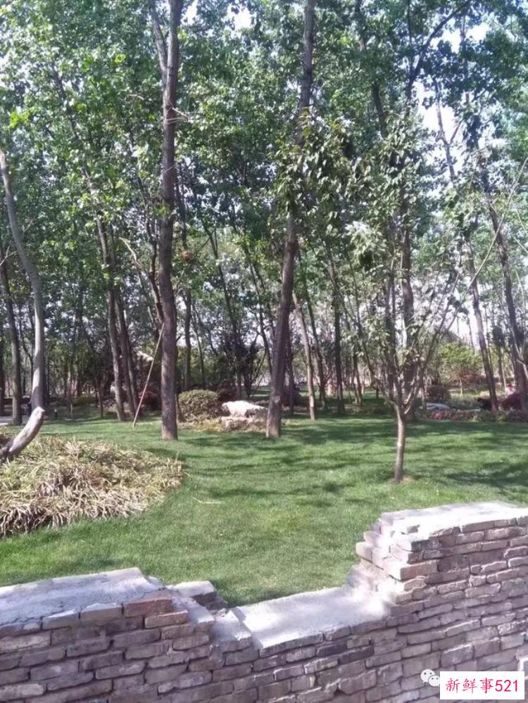 丹阳凤凰山遗址公园在哪里，丹阳凤凰山遗址公园有多少亩