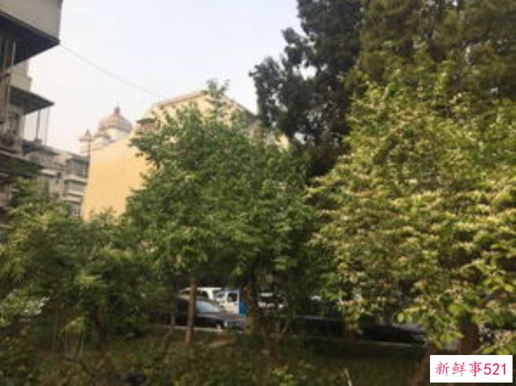 如何保护北京的世界文化遗产，北京历史文化金名片