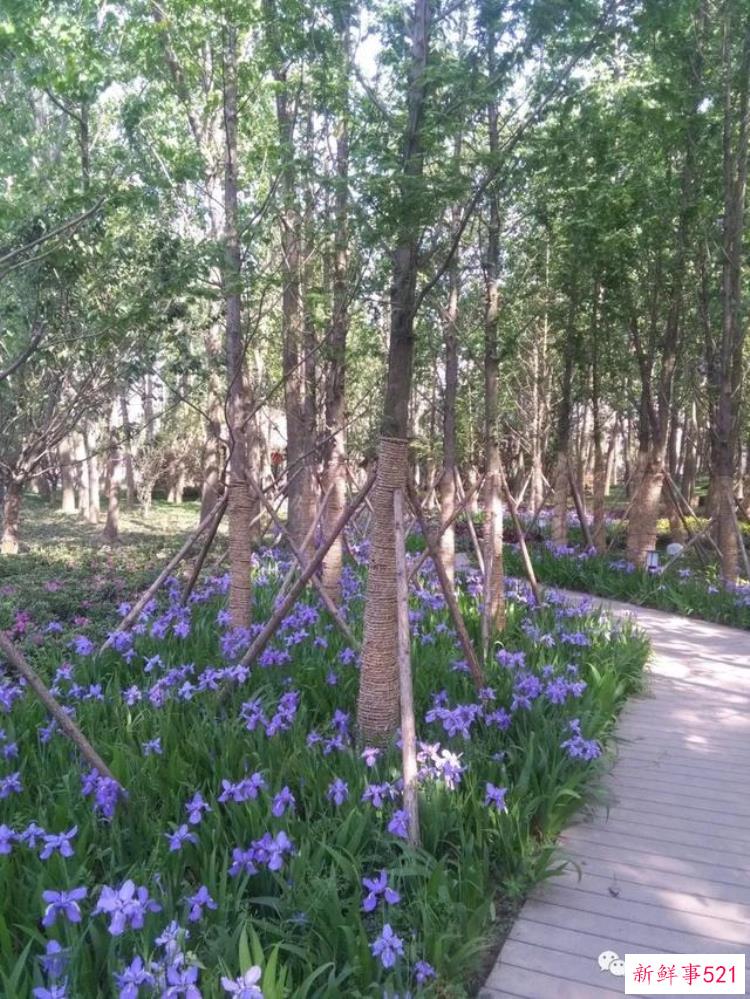 丹阳凤凰山遗址公园在哪里，丹阳凤凰山遗址公园有多少亩