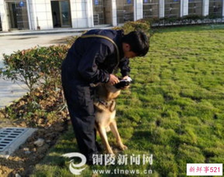 郑州文物考古研究院，太平遗址颠覆性的考古