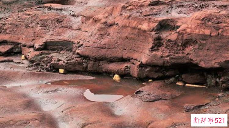 四川造电视剧垂钓者今日成都开机揭秘江口沉银盗掘案背后故事