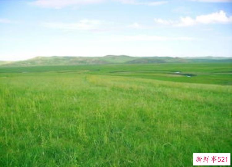 丝绸之路上的帝国：青铜时代至今的中央欧亚史，国家十大历史青铜器