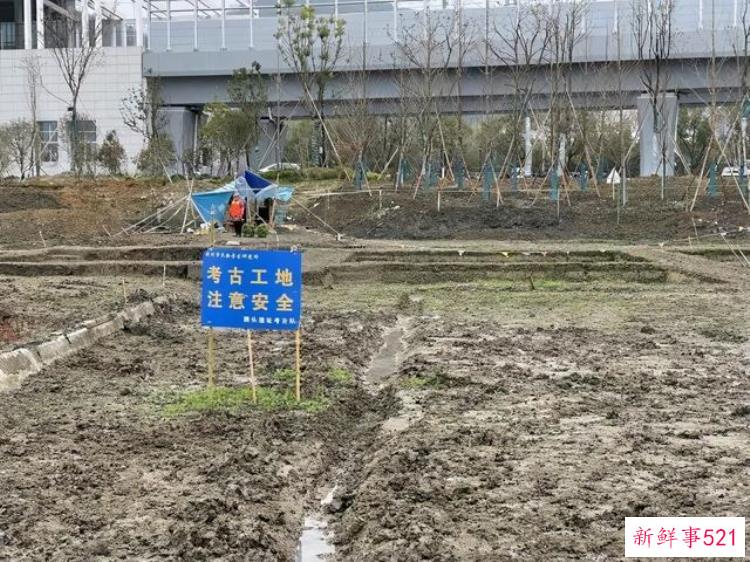 11岁白血病女孩写下一封信惊动了考古所连南派三叔都站出来了