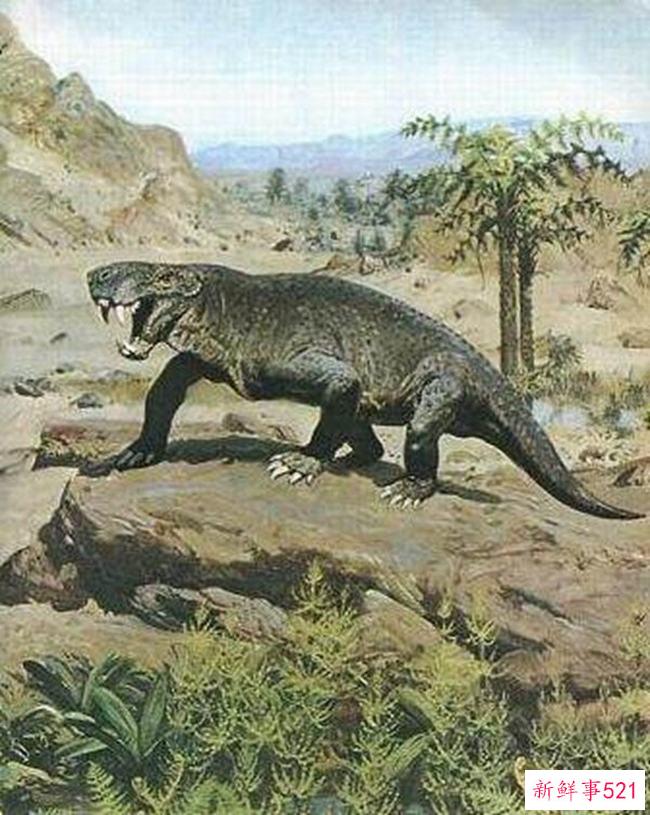 十大史前巨型动物，揭秘史前最大的动物第一名