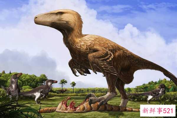 印度蜥脚类动物-一种巨大的足底动物(4米长-有一个巨大的眶上角)