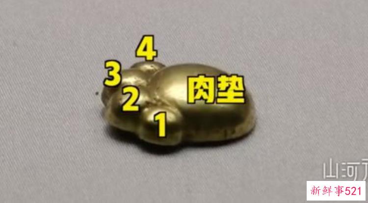 最萌文物山西垣曲北白鹅墓地出土5件猫爪形金饰，山西出土5件形似猫爪金饰