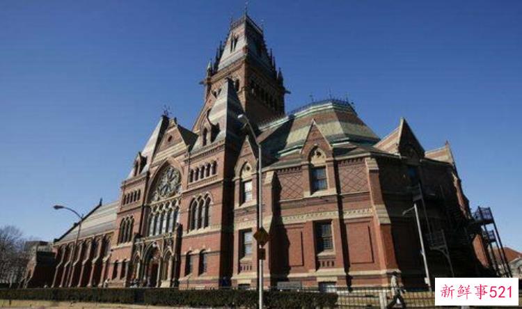 中国博物馆青年学术研讨会，博物馆征稿