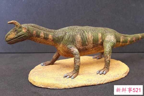 印度蜥脚类动物-一种巨大的足底动物(4米长-有一个巨大的眶上角)