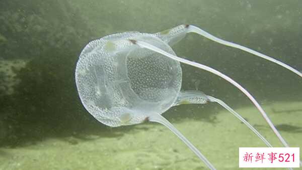 人最痛苦的是什么？揭秘人世间最痛苦的10件事