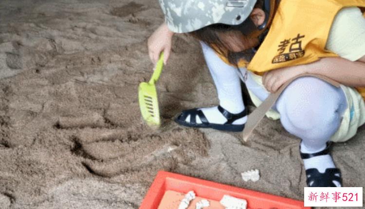 现实版侏罗纪公园来了闽侯南通新开3000考古馆陪娃过暑假