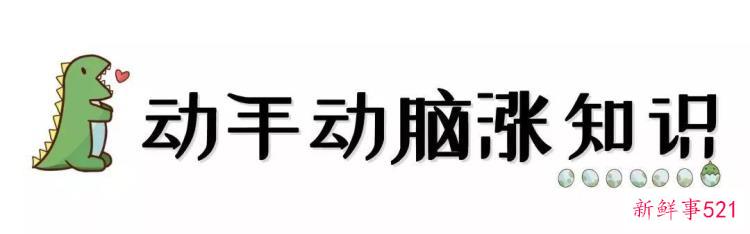 现实版侏罗纪公园来了闽侯南通新开3000考古馆陪娃过暑假