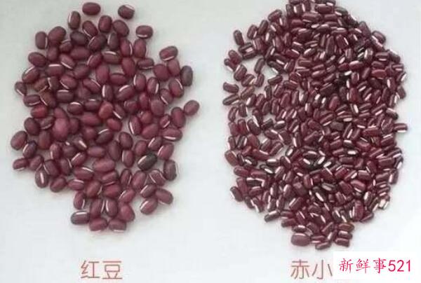 让人思考西游记的四件事怪物是上天故意放出来的