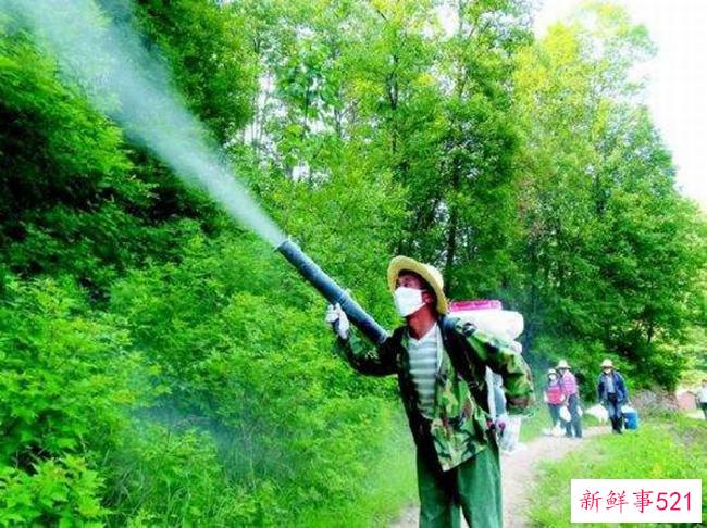 一夜不戴耳环会死吗？打耳洞后需要注意什么？