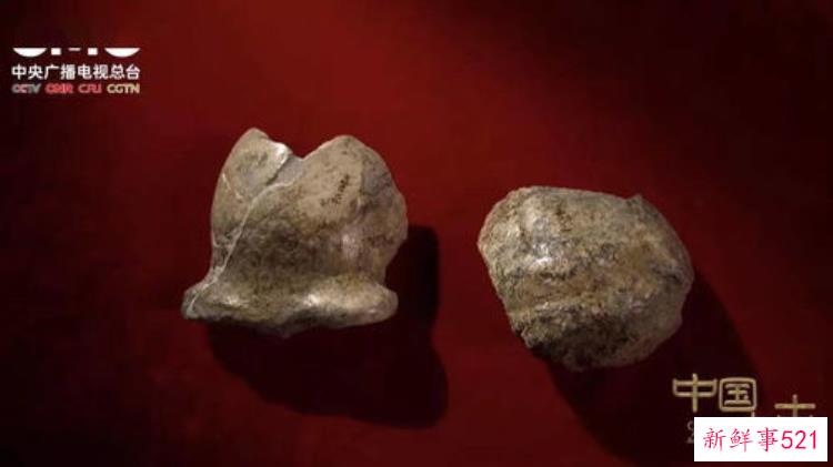 南京挖出父女合葬墓，福州古墓发现古尸