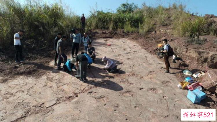 福建考古研究有了新方向吗，福建考古文化