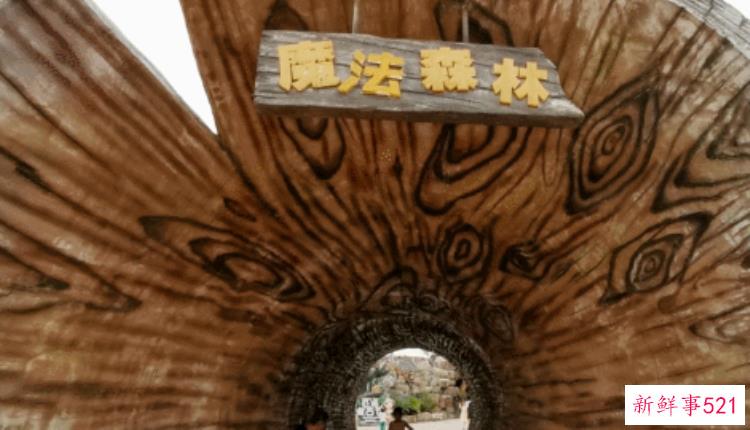 现实版侏罗纪公园来了闽侯南通新开3000考古馆陪娃过暑假