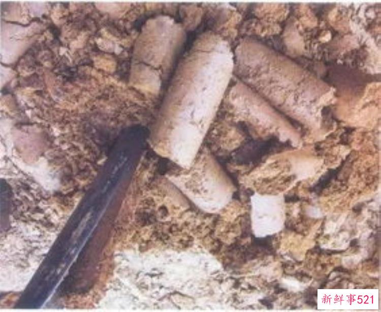 殷墟盗墓案，殷墟蘑菇厂盗墓案判了吗