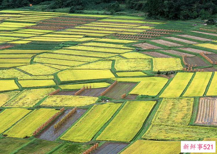 化被动为主动真正做到基础建设考古先行许昌市实行考古前置的探索