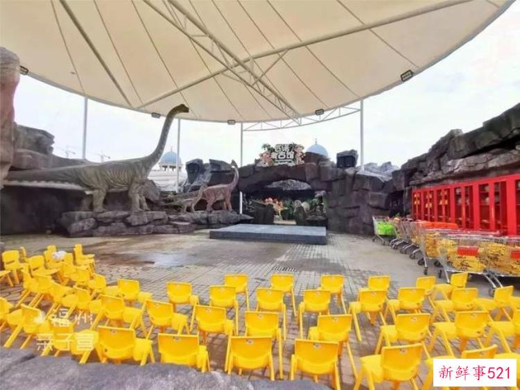 现实版侏罗纪公园来了闽侯南通新开3000考古馆陪娃过暑假