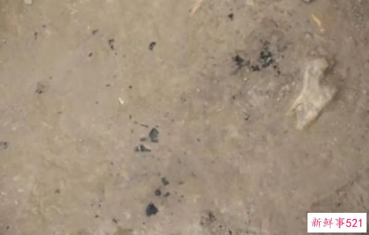 考古研究成果公布揭秘1万年前的郑州现代人，考古史上最尴尬的考古