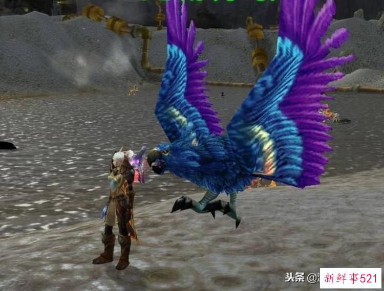 魔兽世界最贵的东西，魔兽世界十大必买装备