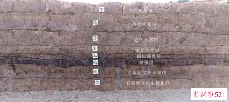 从烤骨队到出圈王巍谈中国考古