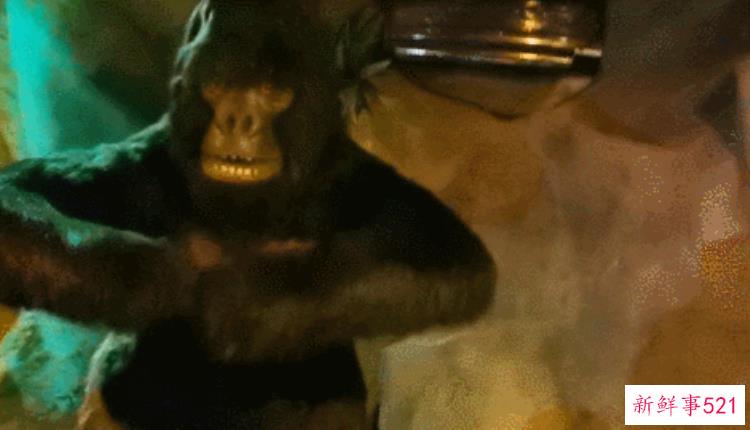 现实版侏罗纪公园来了闽侯南通新开3000考古馆陪娃过暑假