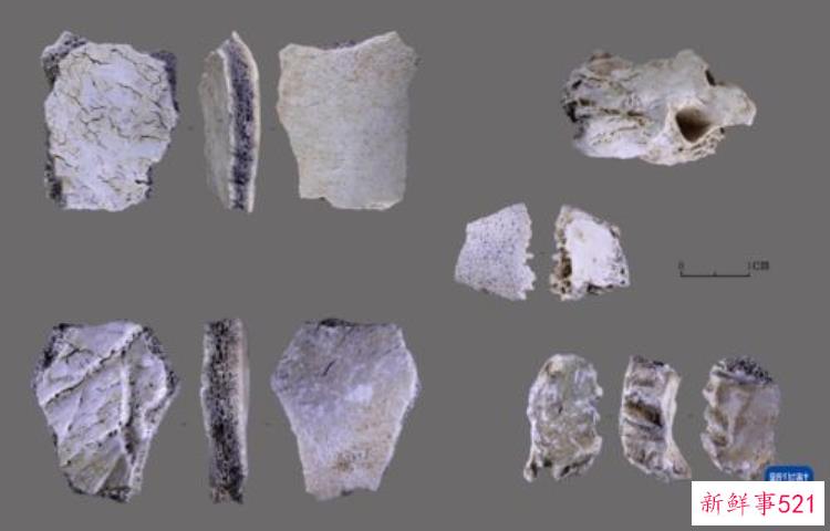 在河南发现32万年前的人类头骨化石这究竟意味着什么，史前人类化石头骨