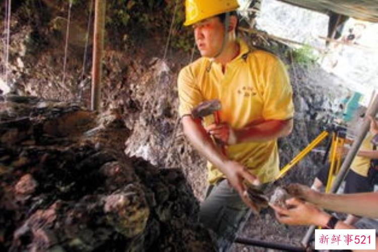 周口地区史前文化聚落遗址综述报告,周口遗址