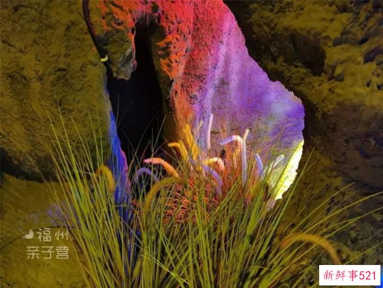 现实版侏罗纪公园来了闽侯南通新开3000考古馆陪娃过暑假