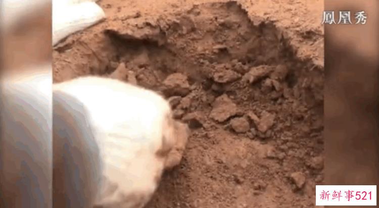 穿越千年的力证我们确是礼仪之邦丨陶寺遗址发掘纪实