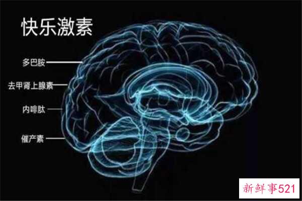 小苏打怎么做发泡胶？搅拌五种成分(也可以用剃须泡沫)