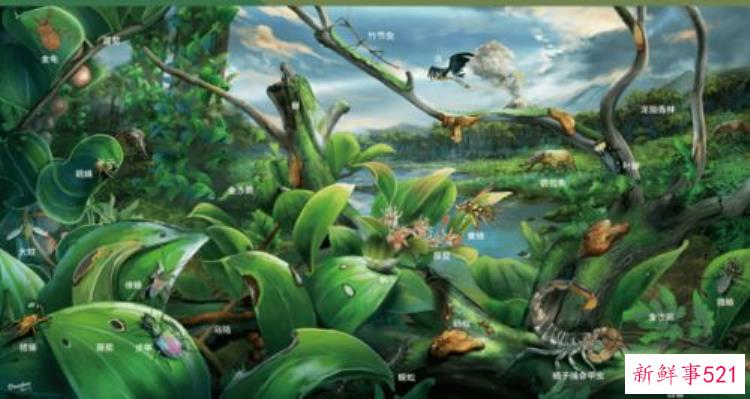 福建考古研究有了新方向吗，福建考古文化